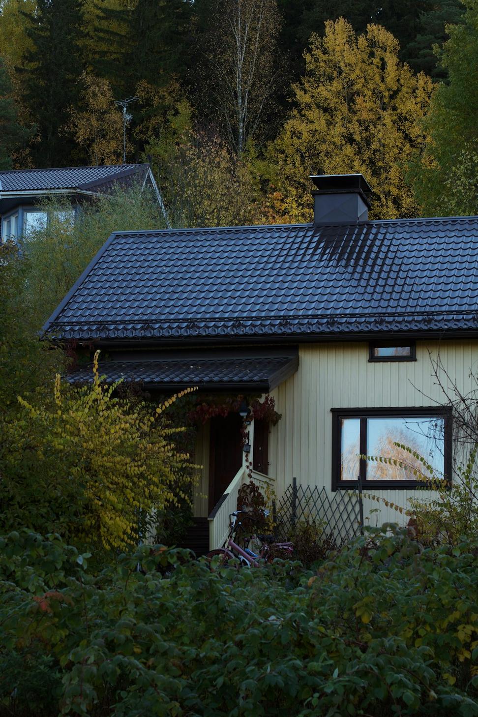 Eco-Friendly Renovation