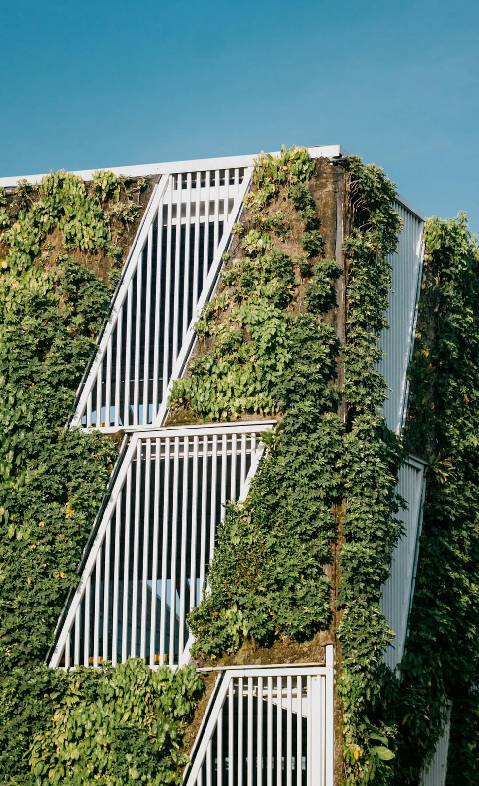Sustainability Consulting